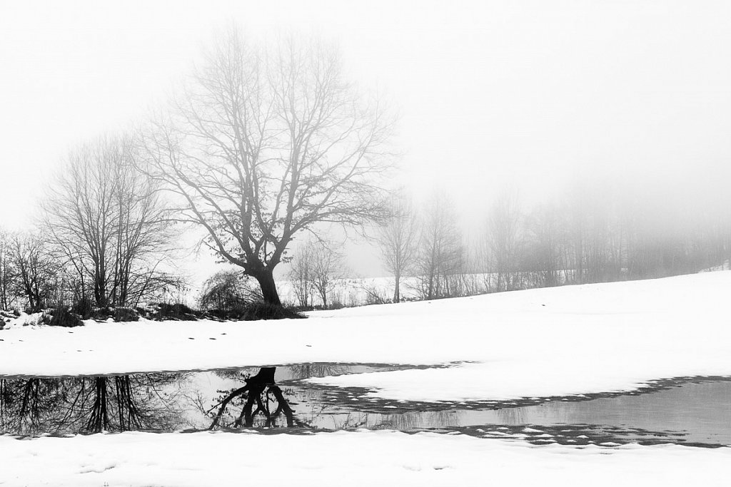 Winterlandschaft