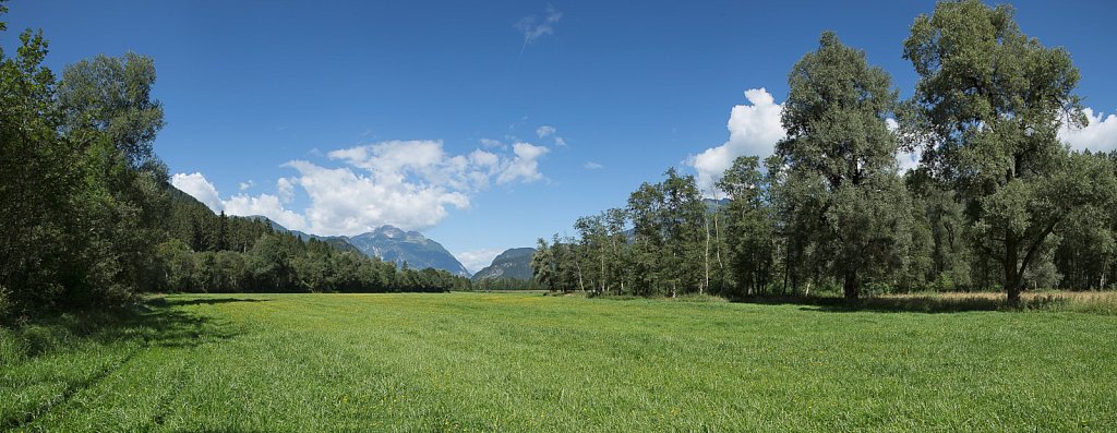 Aulandschaft Drautal