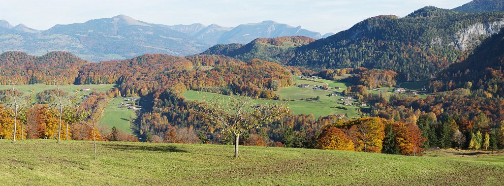 Maria Gern