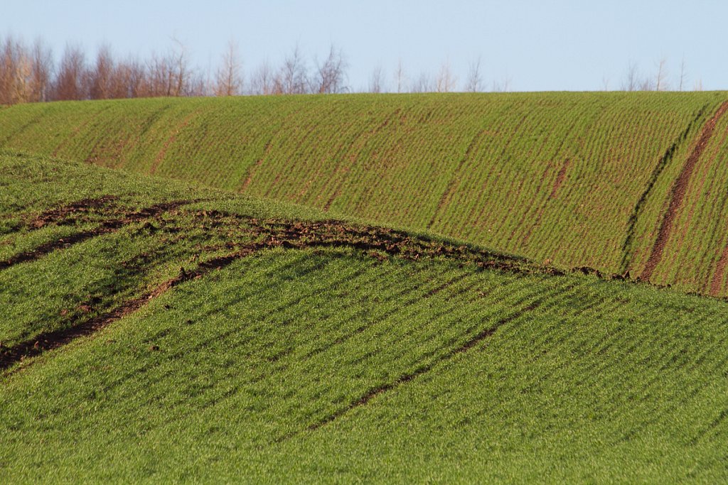 Scottish Borders, rolling hills I
