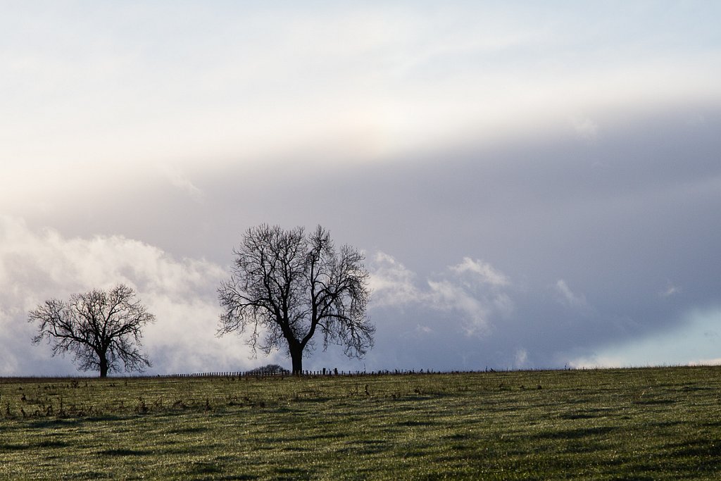 Schottland Jan. 2015 - 19