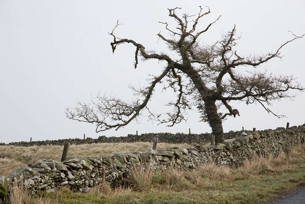 Schottland Jan. 2015 - 05