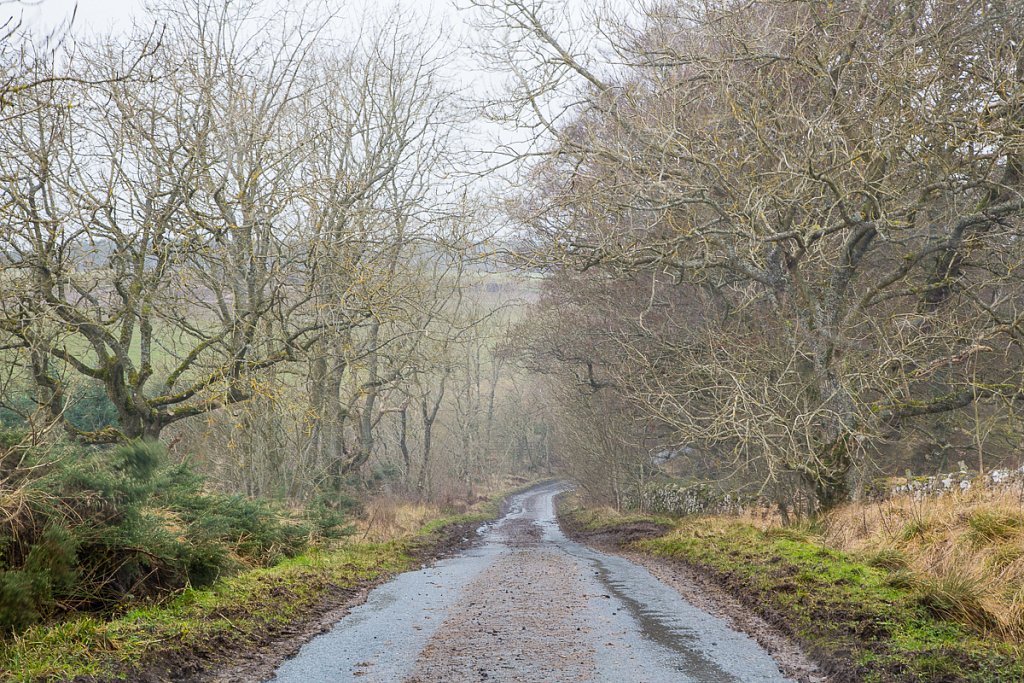 Schottland Jan. 2015 - 06