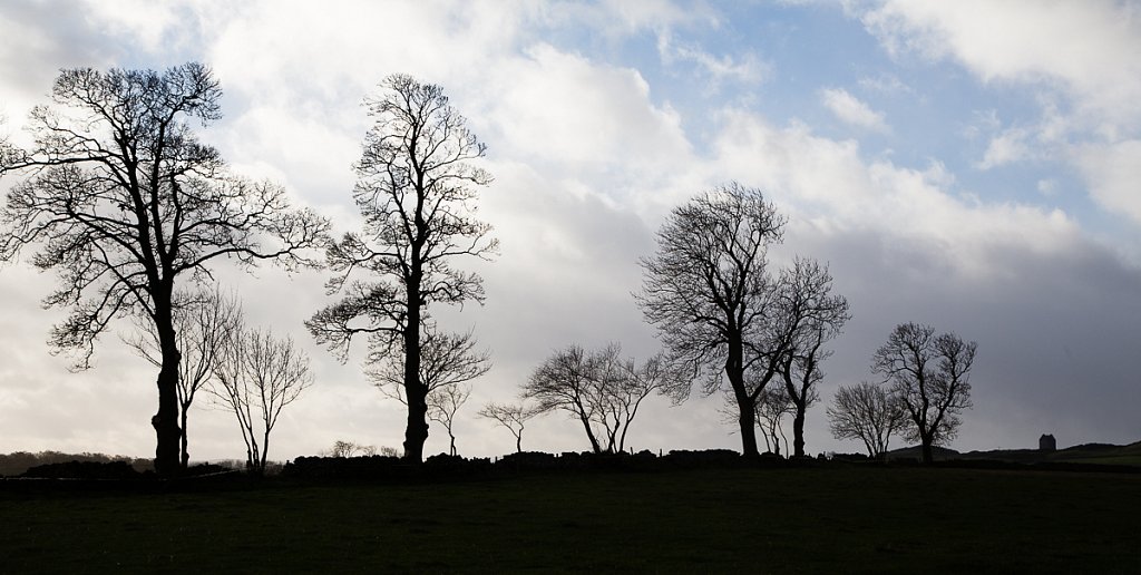 Schottland Jan. 2015 - 12