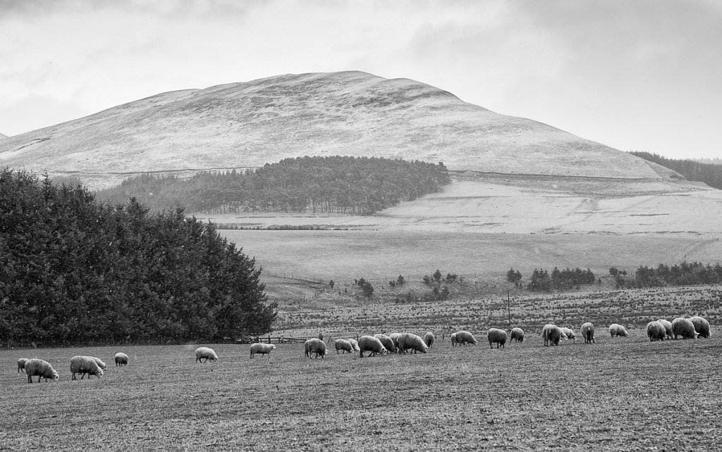 Schottland Jan. 2015 - 16