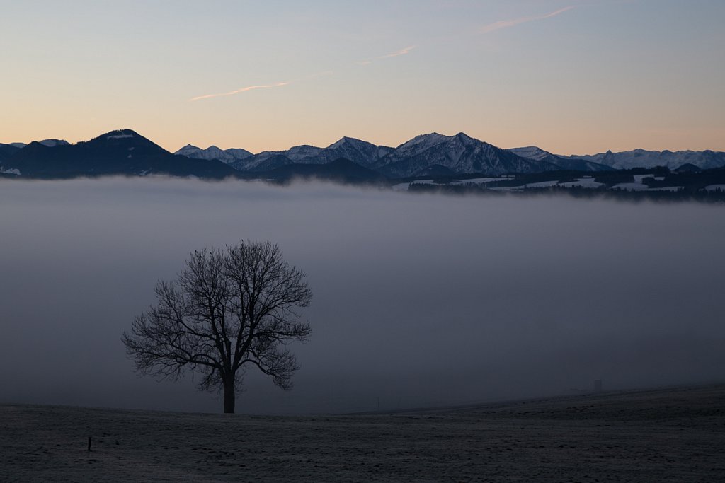 Wallersee15.jpg