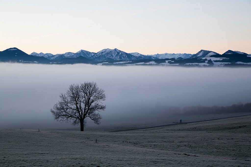 Wallersee17.jpg